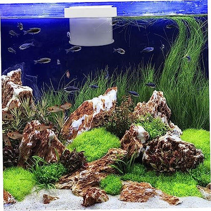 Kisangel Floating Fish Isolation Box Acrylic Breeding Tank for Small Fish Durable and Reliable Aquarium Divider Design for Easy Observation and Fry Care - color: Transparent