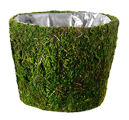 SuperMoss (55204 Carmel Deco Basket, Fresh Green, 10in Drop in - size: 10" Drop-in