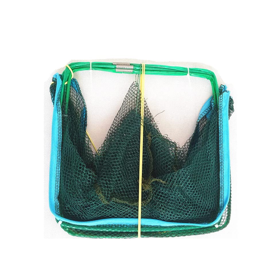 Foldable Bait Trap Fishing Net - Hand Cast Cage for Catching Fish Shrimp Crab Crawfish - color: Green, size: 6 Entrances
