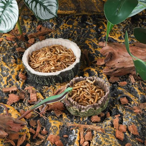 IBWell 2pcs Reptile Water Bowl with Feeding Tweezers - Food Dish for Lizard, Snake, Tortoise & Small Animals - Gray Tree Stump