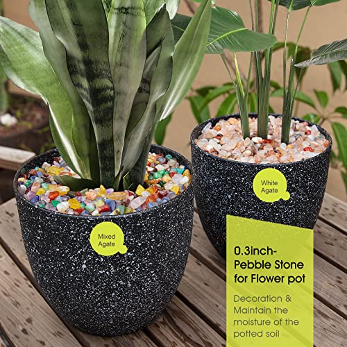 Decorative Polished Rocks, RIFNY 0.3" Gravel Rocks Crushed Crystal for Plant Flower Pots Succulents Cactus Bamboo Plant Vase Filler Aquarium Fish Tank Decorations and DIY Craft (1.5 LB, White) | for Plant Flower Pots Succulents Cactus Plant Vase Filler Aq