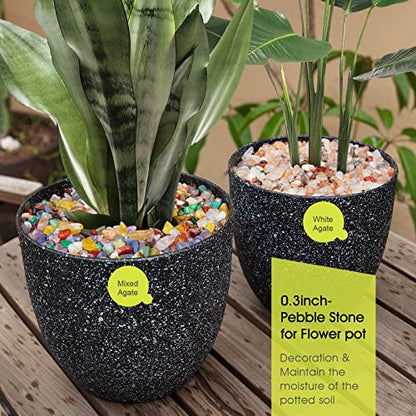 Decorative Polished Rocks, RIFNY 0.3" Gravel Rocks Crushed Crystal for Plant Flower Pots Succulents Cactus Bamboo Plant Vase Filler Aquarium Fish Tank Decorations and DIY Craft (1.5 LB, White) | for Plant Flower Pots Succulents Cactus Plant Vase Filler Aq