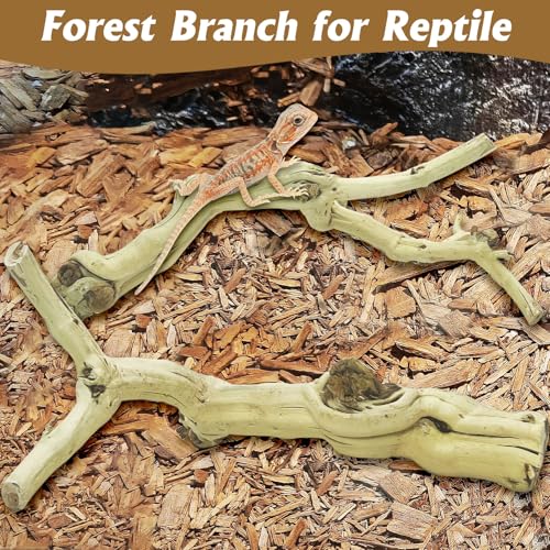 VCEPJH Snake Climbing Branch 3PCS Reptile Wood Natural Cork Log Terrarium Decor Bearded Dragon Tank Accessories Tree Trunk for Chameleon Gecko Ball Python Frog Panlong Wood (11.8-15.7in) - size: Panlong Wood (L:13.7"-15.7"-2pcs)