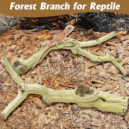 VCEPJH Snake Climbing Branch 3PCS Reptile Wood Natural Cork Log Terrarium Decor Bearded Dragon Tank Accessories Tree Trunk for Chameleon Gecko Ball Python Frog Panlong Wood (11.8-15.7in) - size: Panlong Wood (L:13.7"-15.7"-2pcs)