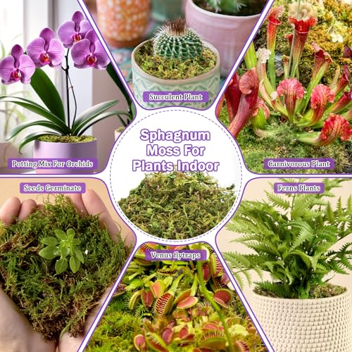 Riare 3.3LB Premium Sphagnum Moss for Plants- 60QT Natural Dried Plant Moss - size: 60 QT(Appx.3.3lbs)