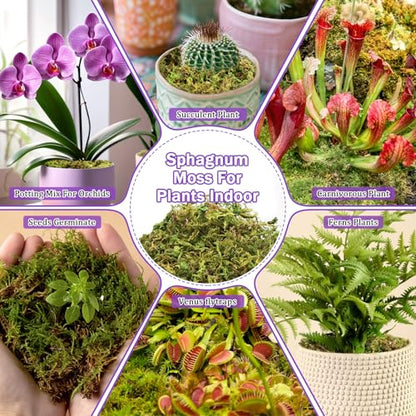 Riare 3.3LB Premium Sphagnum Moss for Plants- 60QT Natural Dried Plant Moss - size: 60 QT(Appx.3.3lbs)