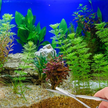 Aquarium Water Grass Stainless Steel Spring Action Curved Aquatic Plant Tongs Fish Tank Landscaping Tools for Aquarium Embroidery