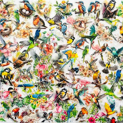 180 Pcs Transparent Flower Bird Stickers – Watercolor Floral Scrapbooking Supplies with Hummingbirds, Flamingos, Parrots – Clear Nature Stickers for Journals & Resin Art Crafts - color: Wildlife Bird