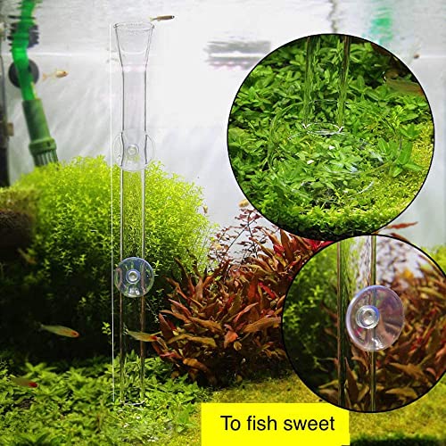 Aquarium Shrimp Feeding Tube and Dish, Clear Crystal Glass Shrimp Feeder Tube Tray for Fish, Clear Glass Aquarium Tube, Fish Tank Waterfall Pipe for Freshwater and Marine Aquarium (8 in)