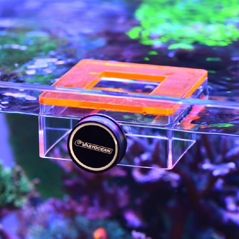 Strong Magnetic Acrylic Feeding Box Feeding Ring Aquarium Fish Food Fish Food Feeding Ring Feeding Ring (Orange) - color: orange