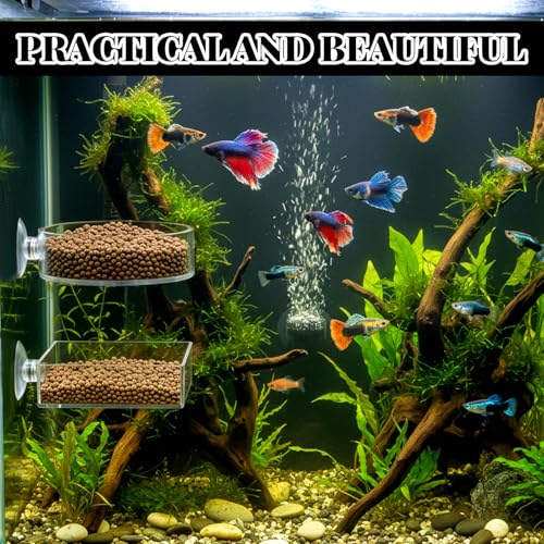 2Pcs Shrimp Feeding Dish, Aquarium Feeding Dish with Suction Cup Acrylic Fish Food Feeder for Freshwater and Saltwater Tanks Round and Square