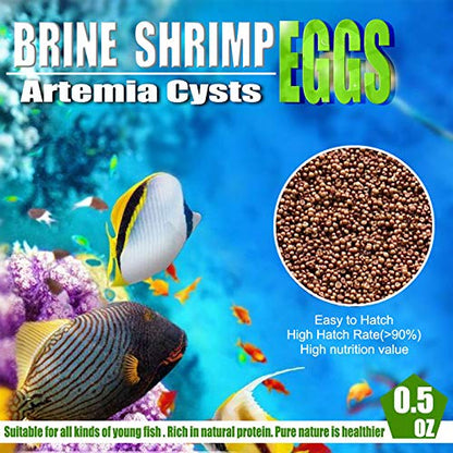 AAA Brine Shrimp Eggs - 90%+ Guaranteed Hatch Rate, Nutrient-Rich Live Fish Food for Baby Fry, Guppies, Bettas & Marine Life - High Protein GSL Artemia Cysts