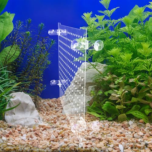 Hemoton Fish Tank Divider Acrylic Isolation Board with Suction Cups 35x30cm Aquarium Partition for Fish Shrimp Separation