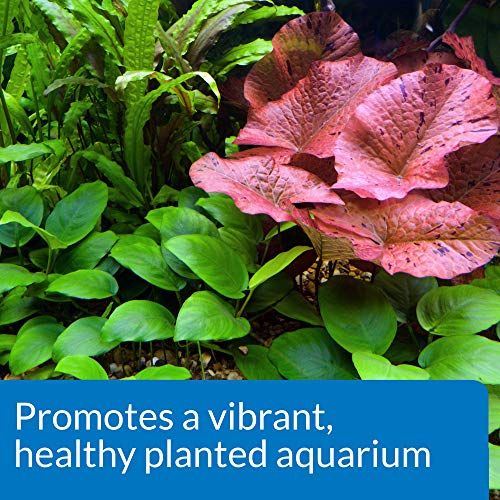 API Co2 Booster Freshwater Aquarium Plant Treatment 16 oz Bottle, Brown - color: Brown, size: 16 oz