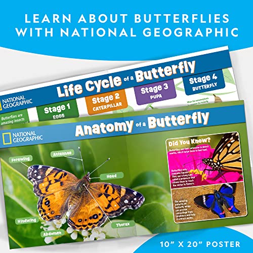 National Geographic Butterfly Growing Kit - Butterfly Habitat Kit with Voucher to Redeem 5 Caterpillars (S&H Not Included), Butterfly Cage, Feeder (Amazon Exclusive) - style: Starter Butterfly Kit