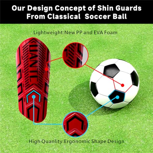 Shin Guards - Soccer Shin Guards with Cushion Protection for Kids/Adults - color: Red and Purple,Shin Pads 2 Pairs, size: Medium