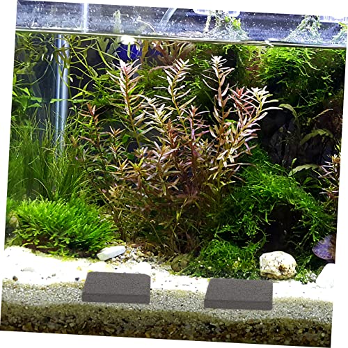 BESPORTBLE 10pcs Ceramic Coral Bases Square Coral Mounts Stand Fish Tank Decorations Stable Lightweight Non Deformable Safe Material and Aquatic Use