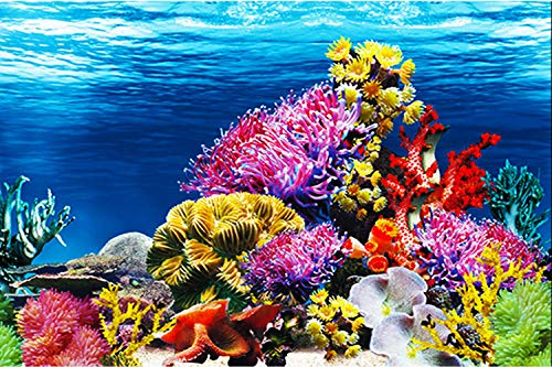 ELEBOX Aquarium Background Poster, Undersea Water Plants Sea Anemone Coral Aquarium Decor Background Double Sides Fish Tank Background Sticker Decorations 10 Gallon 20 Gallon Tank 11.8" x 32.3" - color: Coral Reef, size: H:11.8" x L: 32.3"