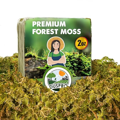 2 Oz Real Dried Forest Moss for Potted Plants, Plant Propagation | Hand-Picked & Clean, Easy to Rehydrate, Balanced Moisture, Forest Orchid Moss for Potting Mix,Moss Soil Cover for Houseplants - color: 2 OZ