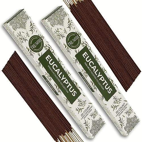 Eucalyptus Incense Sticks - Total 40 Insence-Sticks - Dual Pack of 20 Insense - Inciensos - Inscents - Natural Non Toxic Ingredients - Incents - Incence - Inscense - Insents - color: Eucalyptus, size: Pack of 2 (40 Sticks)