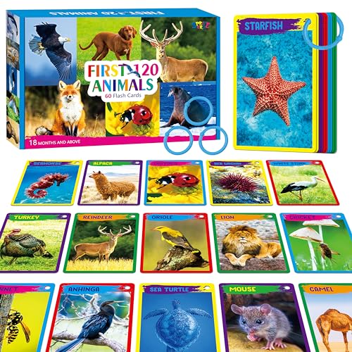 My First 120 Animals, 60PCS Realistic Zoo Animal Cards Farm/Wild/Marine Animals/Insects/Birds Flashcards Montessori & Science Educational Toys Preschool Learning for Homeschool Preschool Toddler Kids - style: Animal Cards