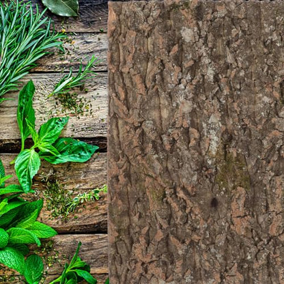 POPETPOP Reptile Cork Bark Background for Terrarium Natural Climbing Mat Decor for Gecko Tanks Safe Wear-Resistant Habitat Enhancement for Aquariums and Reptile Enclosures