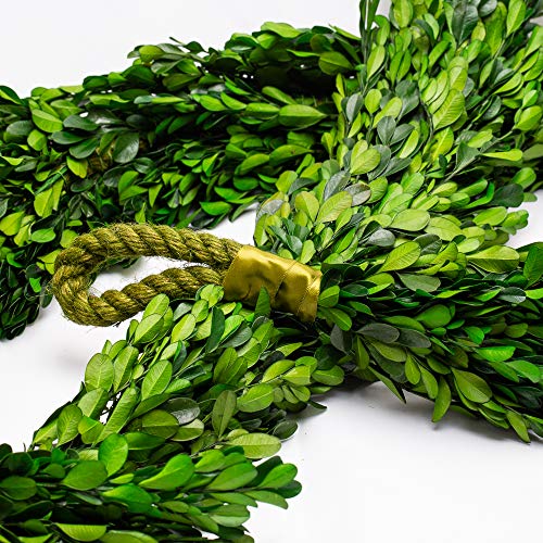Richland Preserved Boxwood Garland 70" Set of 4 - color: Green, size: 70'' (Set 4)