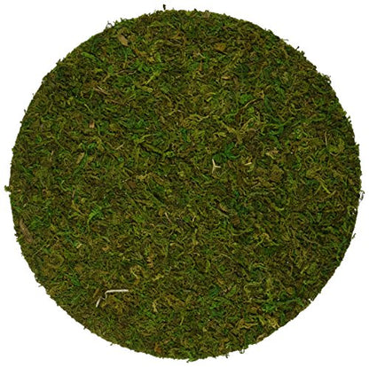 SuperMoss (26300) Moss Soil Toppers, Fresh Green, 6" (3 Units) - color: Fresh Green, size: 6" (3 units)