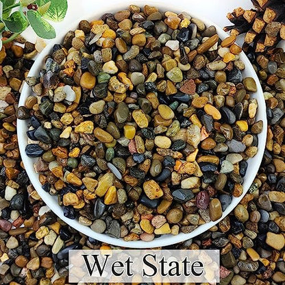 2lbs Natural River Rocks, 1/4" Aquarium Gravel Succulent Cactus | Pea Gravel for Plants, Fish Tank, Decorative Pebbles for Gardening, Flower Pots, Vase, Indoor Water Fountains, Landscaping - size: 1/4 Inch