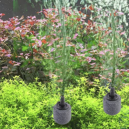Air Stone Cylinder Bubble Diffuser Airstones for Aquarium 0.8/0.9inch Diffuser Release Tool for Nano Air Pumps Small Buckets and Fish Tanks - size: 10P