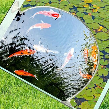 Aquariums Floating Plant Floating Plant Fence Fish Feeding Rings for Fishtanks Househould Fishtanks Supplies