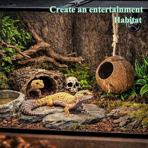 HERCOCCI Gecko Tank Accessories, Hermit Crab Toys Coconut Shell Natural Coconut Husk Hut with Climbing Ladder with Suction Cup for Leopard Gecko Snake Reptiles