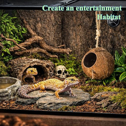 HERCOCCI Gecko Tank Accessories, Hermit Crab Toys Coconut Shell Natural Coconut Husk Hut with Climbing Ladder with Suction Cup for Leopard Gecko Snake Reptiles