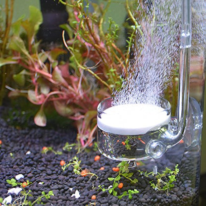 CO2 Diffuser Glass Reactor with U Shape Connecting Tube for Pollen Aquarium Plants Tank(CO2 Diffuser-Small Flat-Bottomed) - color: CO2 Diffuser-Small Flat-Bottomed