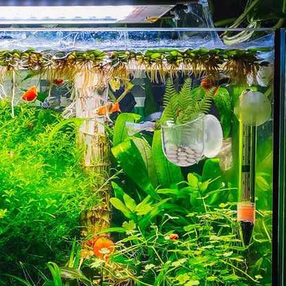 Yolev Aquarium Plant Holder 2Pack Clear Plant Holder Pot Holder Planter Cup | for Fish Tank, Hanging Fish Tank Plants, for Aquarium, with Suction Cup