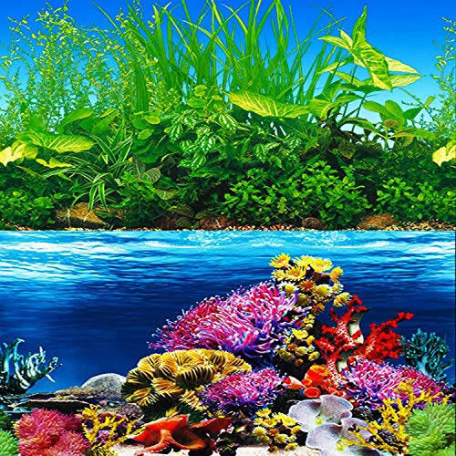 ELEBOX New 23" x 71" Fish Tank Background Paper Wallpaper 2 Sided Colorful Seaweed Water Plants Aquarium Background Picture - color: Coral Reef, size: H:23.4"x L:71.7"