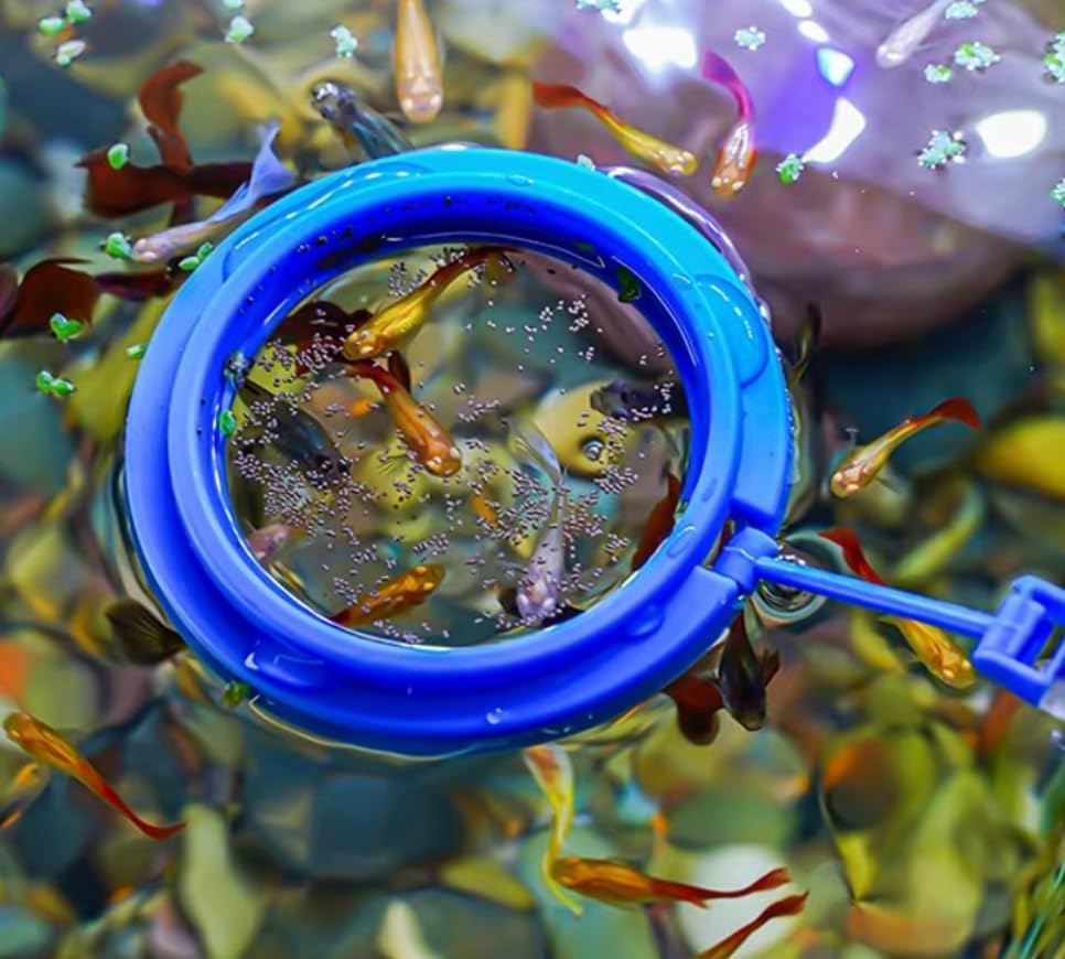 31.5Inch Long Corals Grabber,reefs Feeders,Aquarium Veggie Feedting Tool,Aquarium Food Clip Feeding(Long Reef Grabber and Coral Feeder Kits(Anti-Rust) - size: Long Reef grabber and coral feeder(ANTI-RUST)