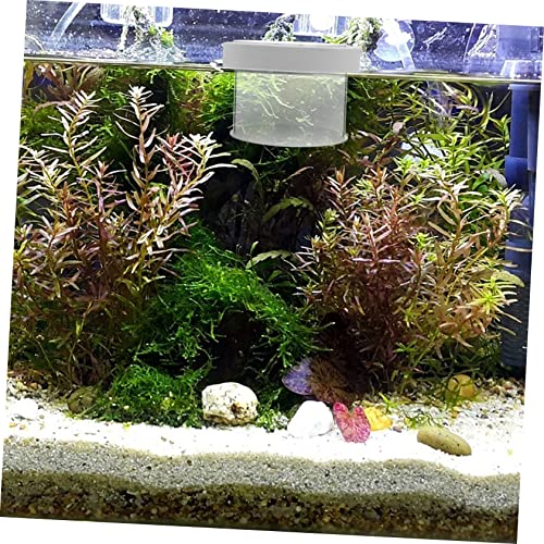 Floating Acrylic Fish Tank Breeding Box Durable Fish Isolation Container for Small Fish Easy Observation with Openable Cover for Guppy Betta and Cichlid Aquariums