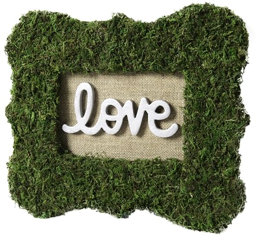 SuperMoss (22420) InstantGreen Moss Mat, Fresh Green, 18 x 16"" - color: Fresh Green, size: 18" x 16"