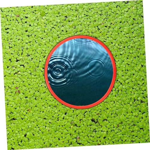 UPKOCH 6Pcs Floating Aquarium Plant Rings for Fish Feeding and Duckweed Isolation Plastic Fish Tank Plant Holders Stable and Versatile Rings in Mixed Colors for Aquatic Separation
