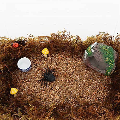 DQITJ 9 Pcs Spider Micro Ceramic Water Bowl, Hermit Crab Mini Dish for Spider Tarantula Hermit Crab Millipede Tiny Reptile