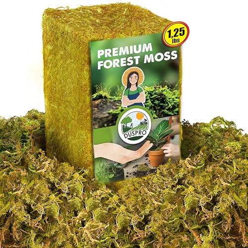 1.25 LBS Real Dried Forest Moss for Potted Plants, Plant Propagation | Hand-Picked & Clean, Easy to Rehydrate, Balanced Moisture, Forest Orchid Moss for Potting Mix,Moss Soil Cover for Houseplants - color: 1.25 LBS Natural