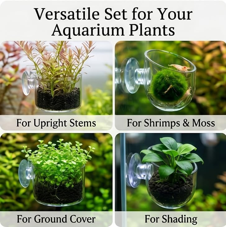 2Pcs Aquarium Plant Pot Set, Glass Fish Tank Plants Holder Aquarium Planter, Decoration Plants Cup with Suction Cups