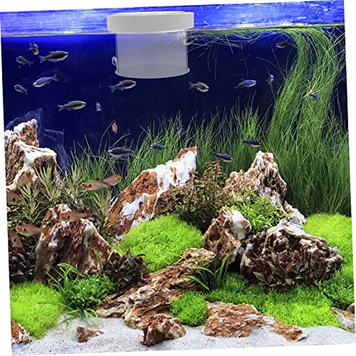 Floating Acrylic Fish Tank Breeding Box Durable Fish Isolation Container for Small Fish Easy Observation with Openable Cover for Guppy Betta and Cichlid Aquariums