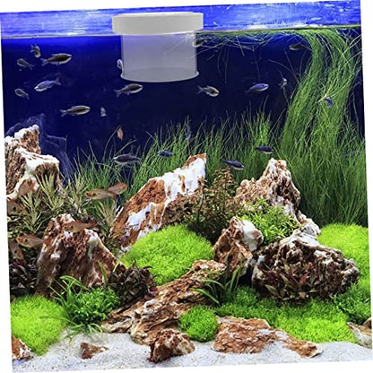 Floating Acrylic Fish Tank Breeding Box Durable Fish Isolation Container for Small Fish Easy Observation with Openable Cover for Guppy Betta and Cichlid Aquariums
