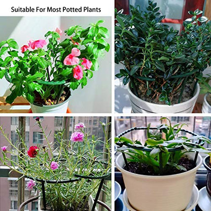 Belit 8 Pack Plant Supports for Small Plants, Garden Flowers Green Plant Support Ring, Planter Support Ring for Schlumbergera, Clivia, Succulents, 5.5" Wide x 5.9" High - size: 5.5" x 5.9"