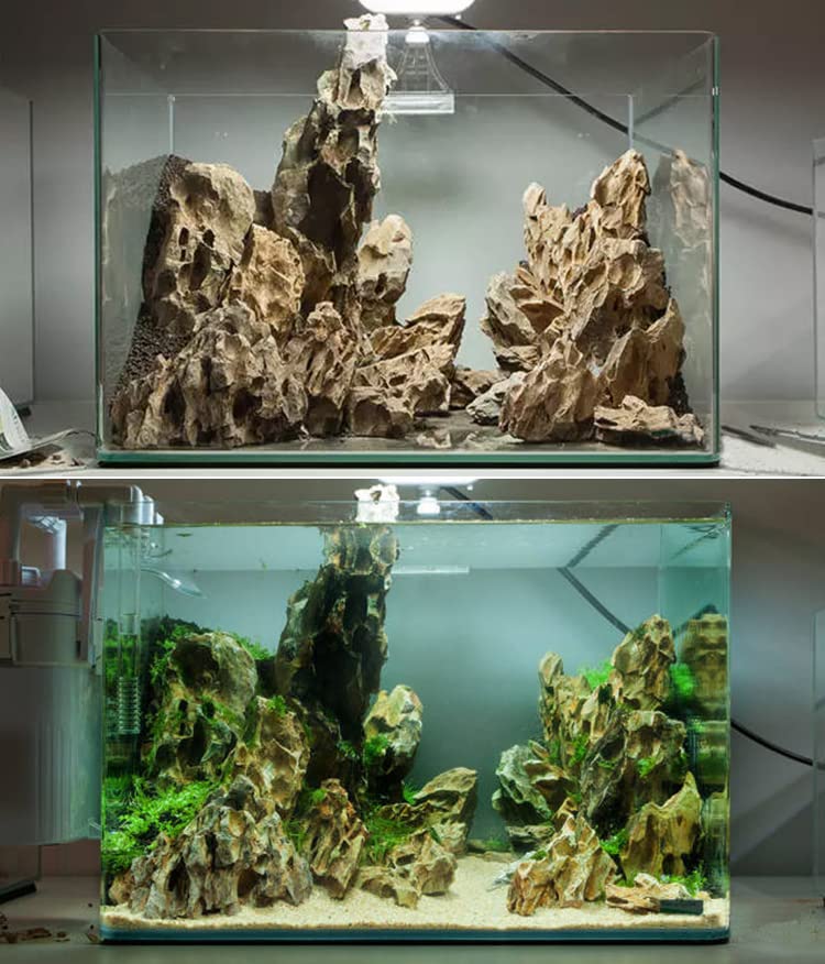 AWXZOM Natural Dragon Rock Carefully Selected Mixed Sizes, Decorative Aquarium Rocks, Aquarium Stones for Fish Tank (10lb-Extra Large) - size: 10lb-Extra large