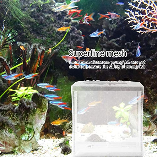 Fish Breeder, Large Breeder Net with Suction Cups, Nylon Mesh Fish Fry Hatchery Isolation Box Separation Net for Fish, Plants, Shrimp on Aquarium Tank, 6.2 x 6.2 x 5.5in