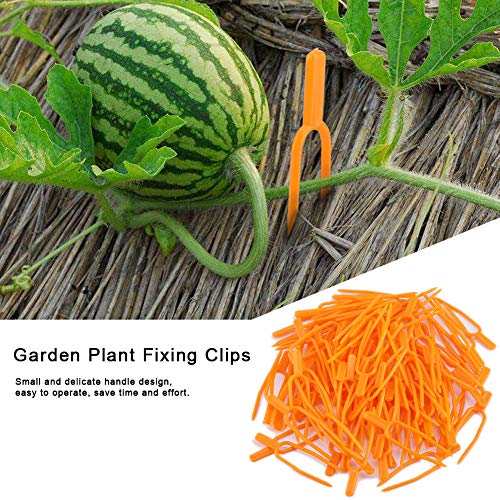 100PCS Gardening Plant Fixing Clips, Gardening Fixing Vine Fixer, Watermelon Strawberry Fork Reusable, Plant Fixing Clip, Plastic Plant Fixer of Farming Fixer Tool