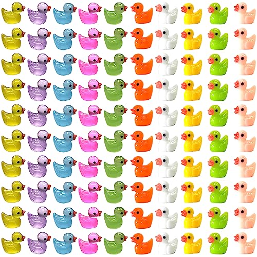 Cidinge 100pcs Mini Luminous Ducks & Resin Ducks for Micro Garden & Dollhouse Decor - style: 50pcs Resin Duck and 50pcs Luminous Duck